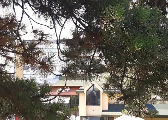 Apartman Avala, New Belgrade